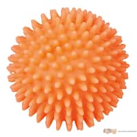 Trixie játék tüskéslabda Trx3414