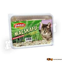 Panzi macska fű