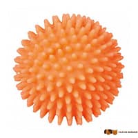 Trixie játék tüskéslabda Trx3414