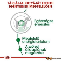 falatkawebshoprc shn wet miniadult cv eretailkit 2 hu hu 4156web