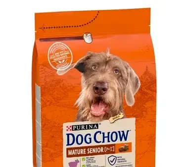 Mature Senior with lamb 7613287575487 jpg 0.jpg e1743068461665